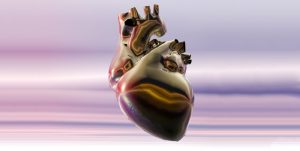 Human heart graphic illustration